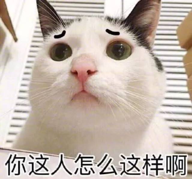 表情包:表面看上去一本正经,实际上大脑一片空白
