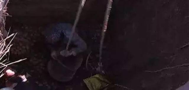 在农村,如何利用地下室(地窖)赚钱?_手机搜狐网