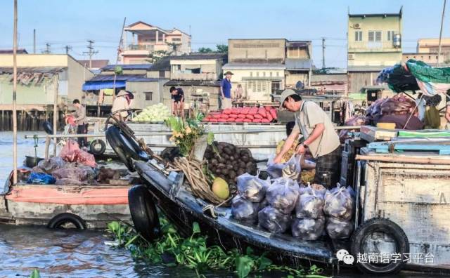 越南水上水果批发市场,芹苴市着力发展湄公河绿色旅游村模式(汉越双语