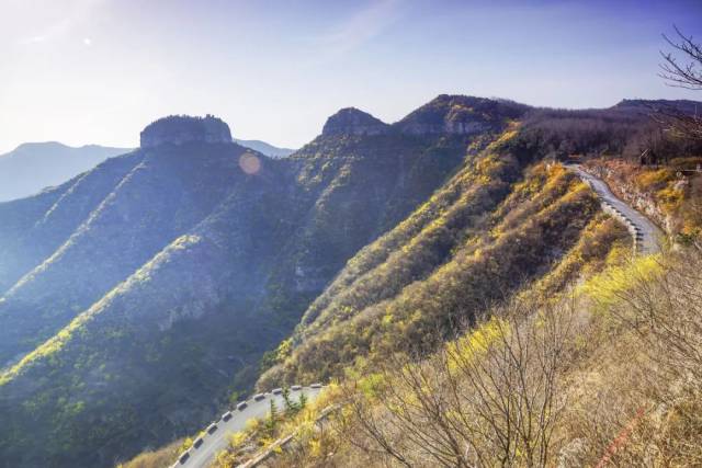 穿越齐鲁川藏线 拥抱仰天山迎春花海