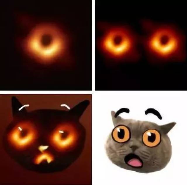 人类首张黑洞照片刚亮相,就被玩坏儿了……