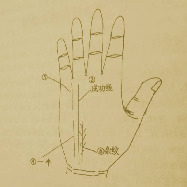 成功线并非人人都有,它的位置在无名指的下方,此为成功线,太阳线. 2.