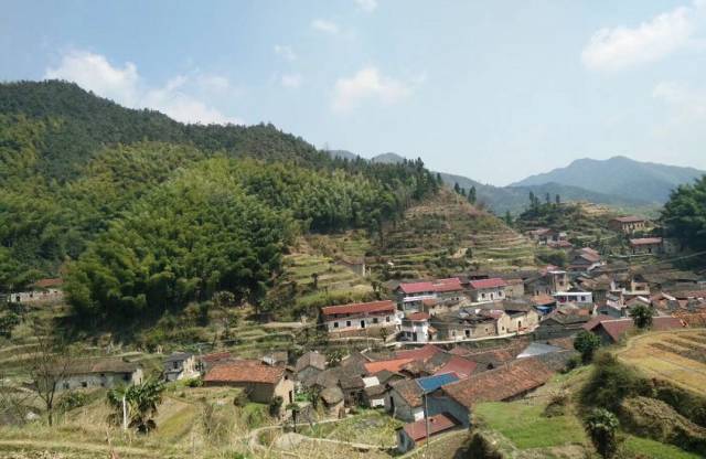 雅溪镇岱后村:穷山村的华丽蜕变——山沟沟挡不住致富