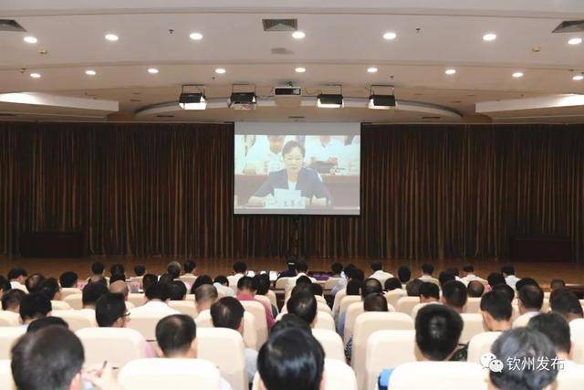 【扫黑除恶】钦州召开会议贯彻落实中央扫黑除