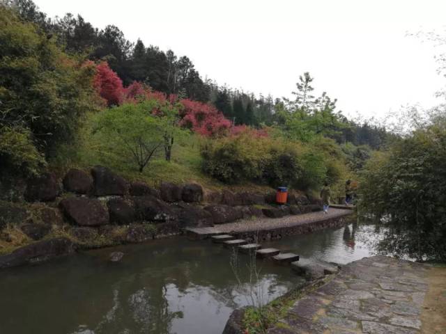 周宁鲤鱼溪,杜娟花海小镇,苏家山玻璃栈道一日游