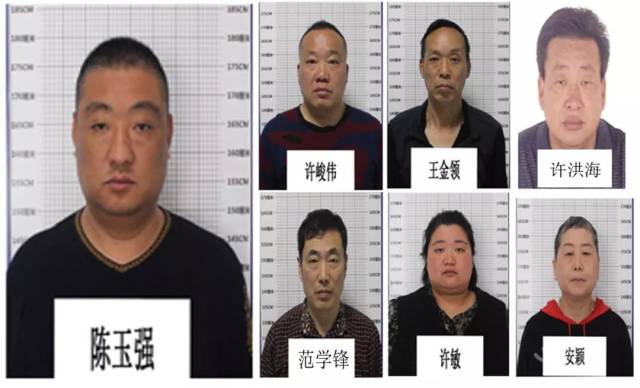 临泉这7个人可都是名人啊!现向社会征集他们违法犯罪线索!_手机搜狐网
