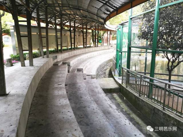 从1997年迁至麒麟山公园开始,这22年的时间里三明市动物园谈不上一尘