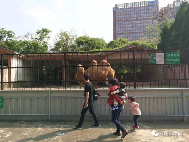 这些事就发生在麒麟山动物园,让人心情很复杂