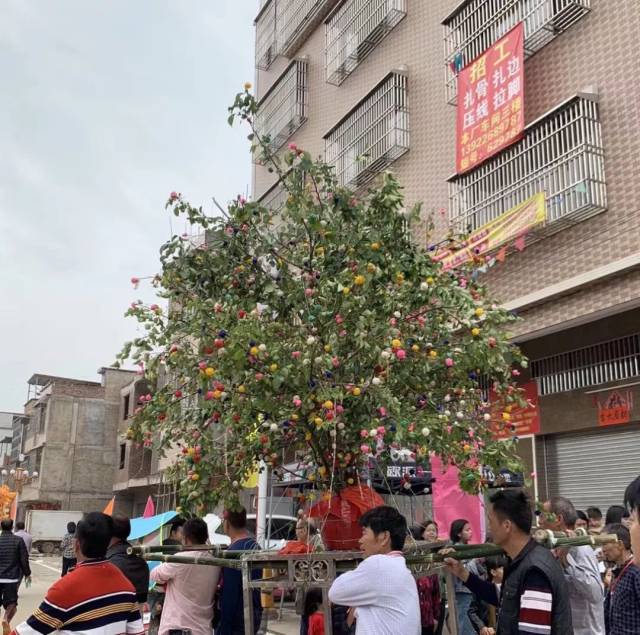 普宁高埔镇葵坑村举行十年一次王爷公大庆
