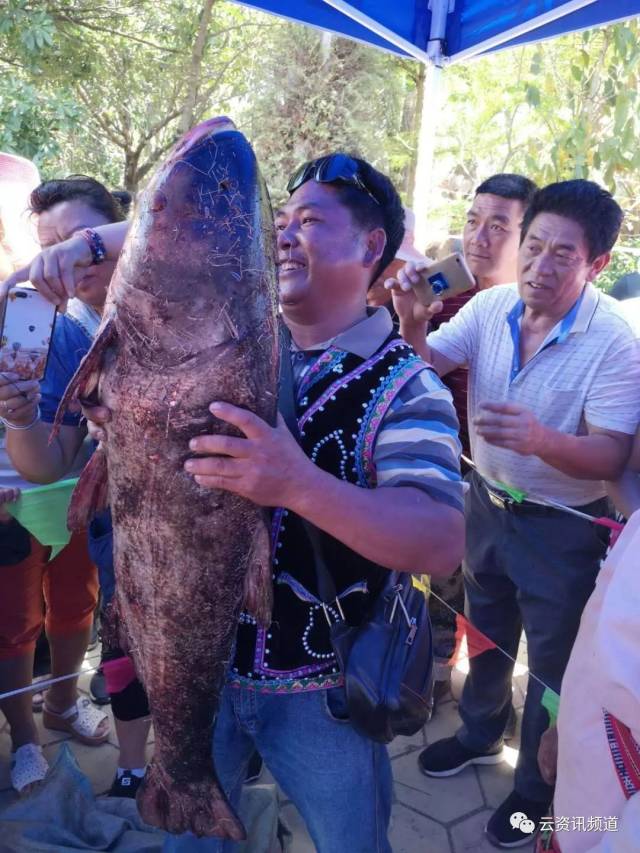 孟连神鱼节,再现万人下河捉神鱼盛况