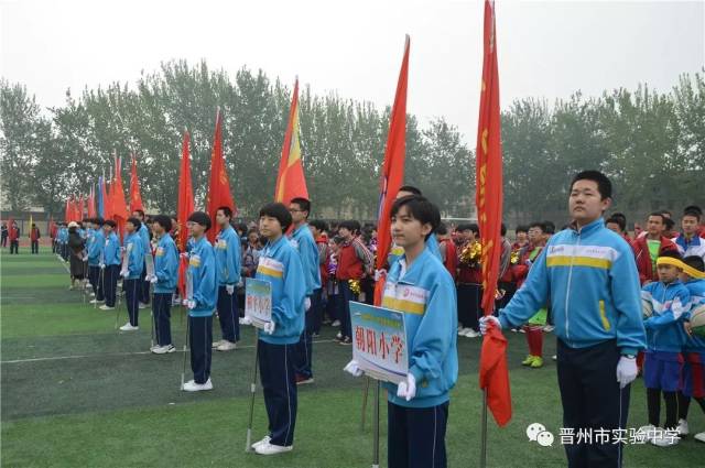 晋州市实验中学学子再次出彩全市中小学春季田径运动会