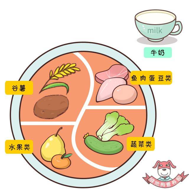 【科普营养】如何为自己安排一天的平衡膳食?