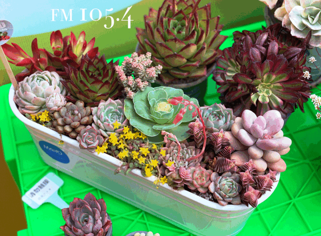 640_472