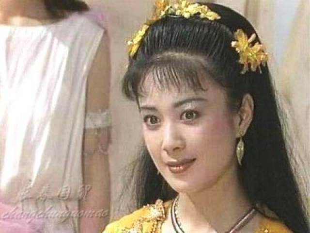 傅艺伟电视剧 搜狐网