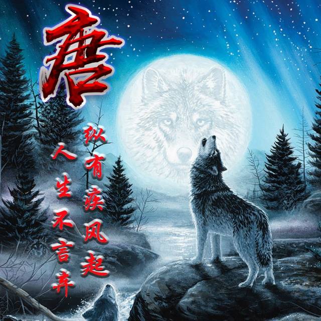 你有多久没换头像了,星空孤独狼姓氏微信头像,赶紧领走