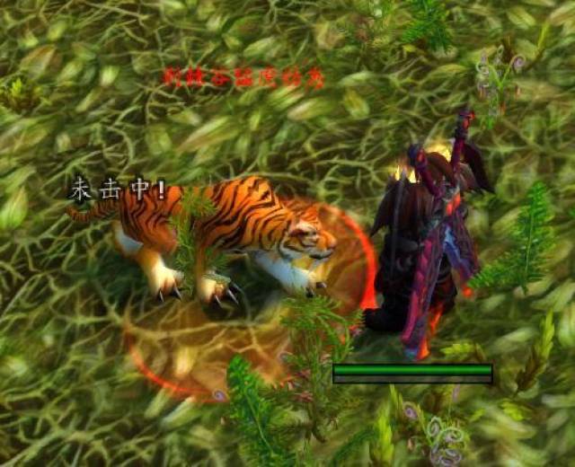 且接到下一个任务 下一个任务【追踪猛虎,去附近杀8只荆棘谷猛虎