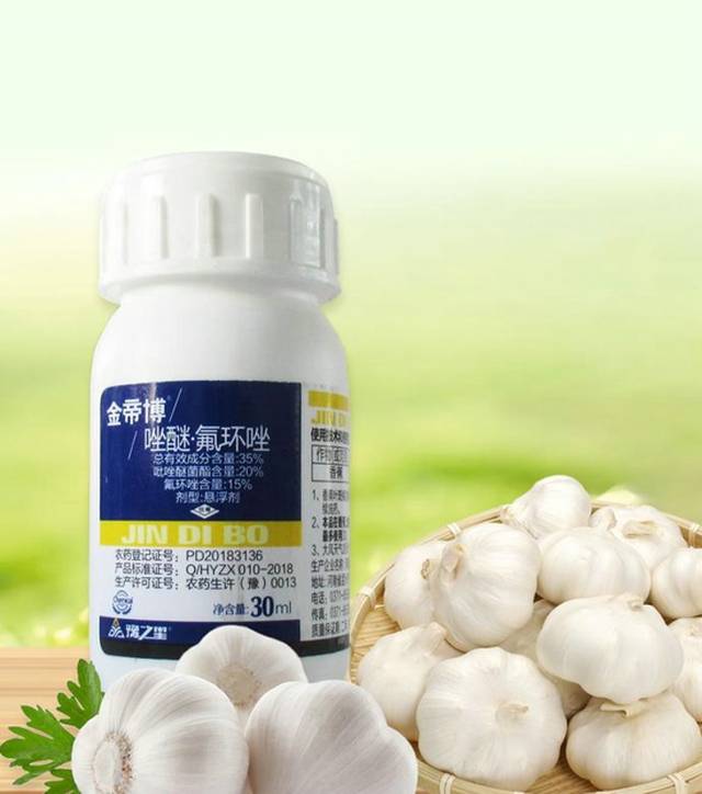 2019金帝博增产药豫鲁蒜乡蒜王争霸赛开启 蒜地插牌邀