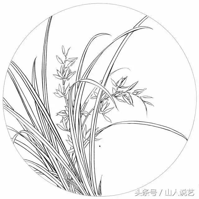 全网最全面,最漂亮的吉祥寓意花鸟画的白描大集合