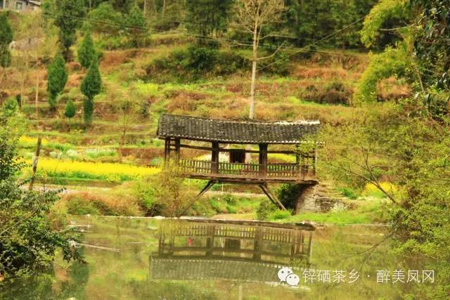 凤冈土溪:不可辜负的美景