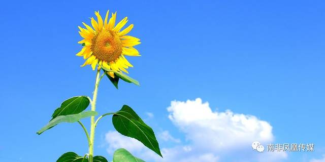 健康生活 | 身体胃寒,手脚冰凉吃什么好?