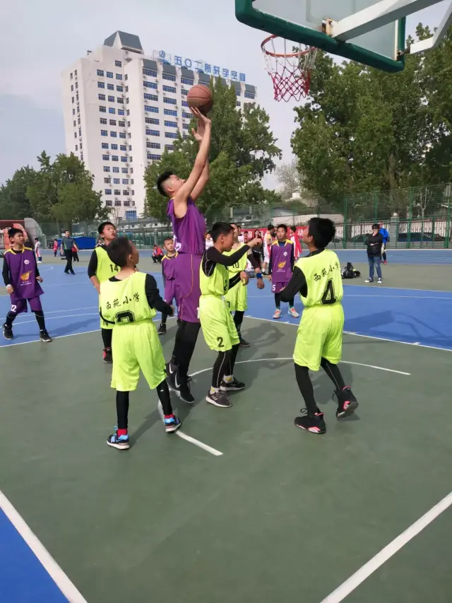 CBA盘口与数据深度__今日CBA盘口分析·大小分策略·球队档案逐梦赛场热血青春！我省大学生三大球锦标赛燃动校园