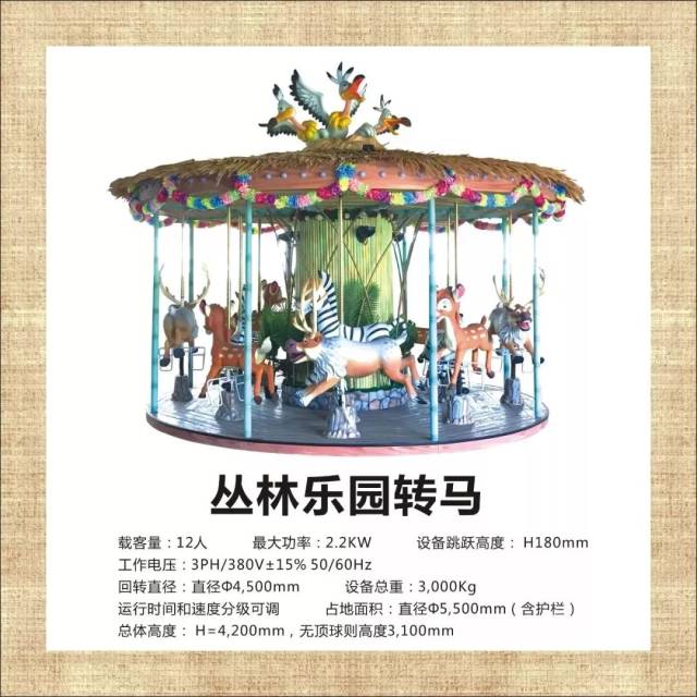 专业,专注做转马第七年