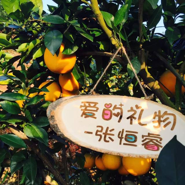 依靠微博朋友圈晒娃,这位妈妈打造出一个网红级橙子品牌