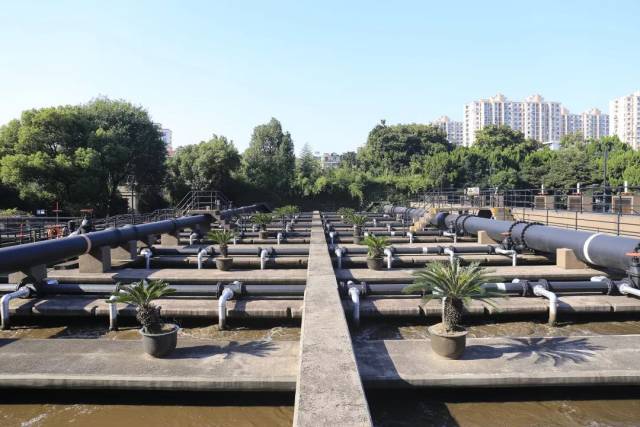 上海东区污水处理厂