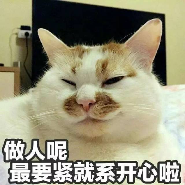 套路表情包:做人呢,最紧要就系开心啦!有什么不开心的