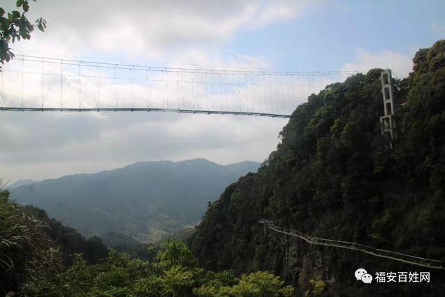 四月到福安松罗金山村赏美丽杜鹃,这还有在建的