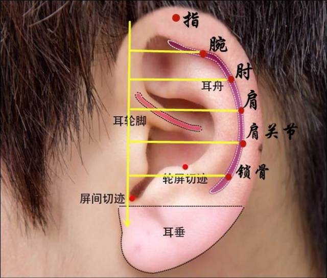 4招解决交感,副交感神经紧张失衡