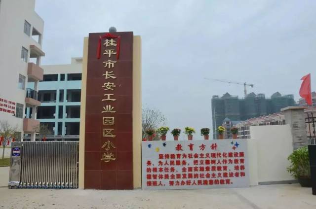 建成并投入使用的公立小学有桂平第五中学,长安工业园区小学,浔城小学