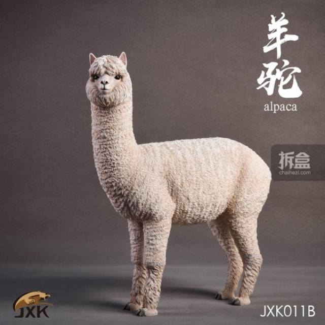 jxk.studio 羊驼 1:6动物模型