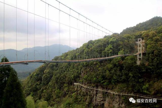 四月到福安松罗金山村赏美丽杜鹃,这还有在建的