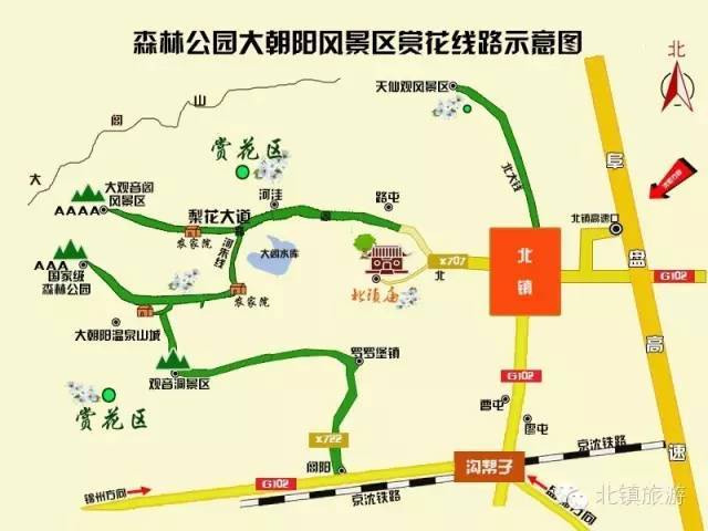 千年古镇,梨花待放,赏花路线图新鲜出炉!