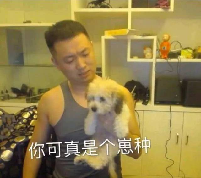 合集 药水哥表情包