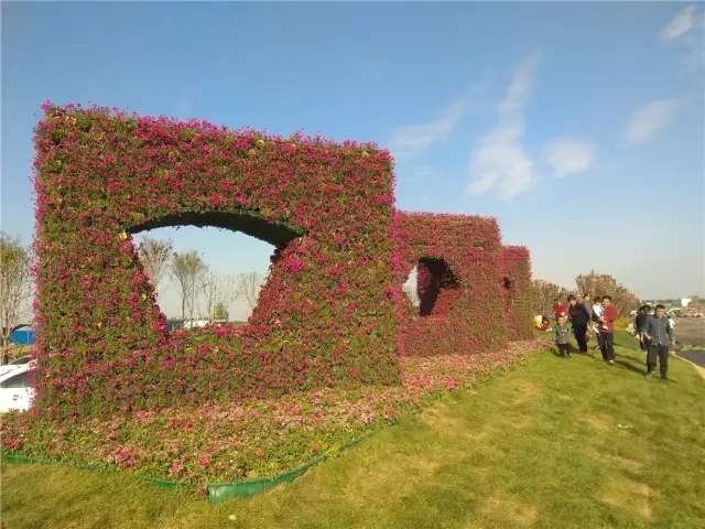 南阳月季大道:花船花瀑等花卉造型惹人喜爱