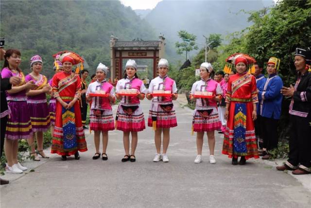 瑶王宴,篝火晚会,赏金银花……这个周末一起去马山古寨瑶族乡第七届