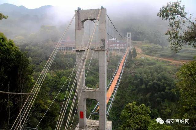 四月到福安松罗金山村赏美丽杜鹃,这还有在建的