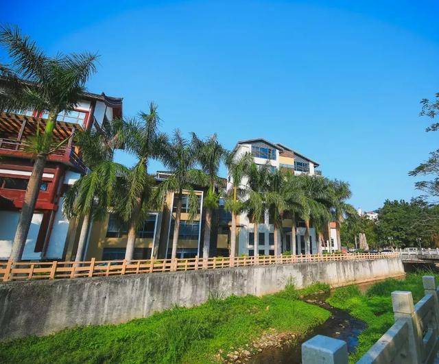 深圳最好吃的素食!就在梧桐山脚下的这个地方