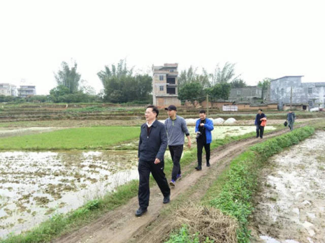广西警察学院党委书记覃干超一行到桂平市下湾镇龙岭村调研脱贫攻坚
