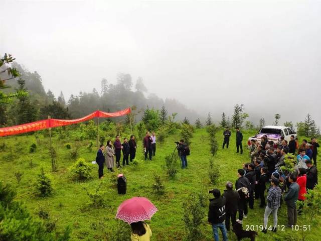 2019首届神州瑶都(中国江华)茶文化旅游周即将举行|开展"非物质文化