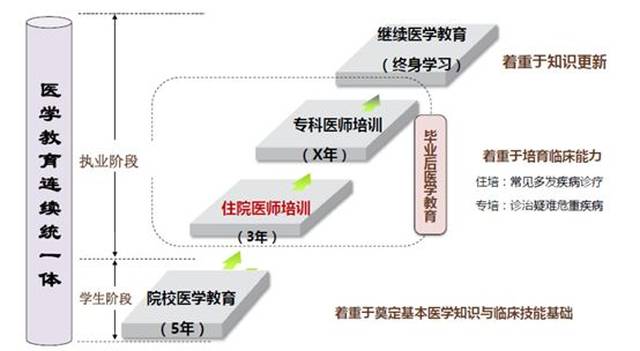 医疗美容主诊医生职业资格证",这跟美国的教育体系类似."