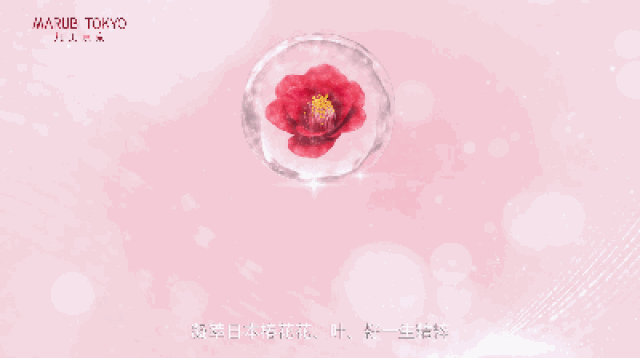 5折) 折后满688送旅行三件套 折后988送三件套 高档化妆包 折后1488送