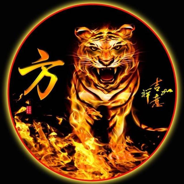 要不要考虑换个姓氏头像呢,霸气火焰虎,给你带来专属头像