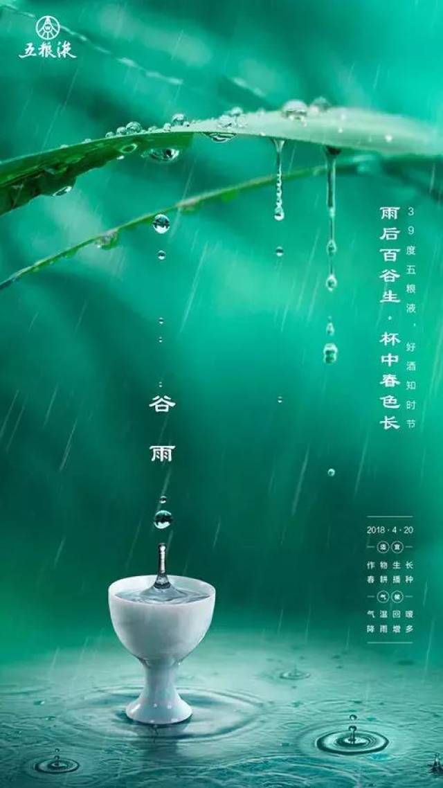谷雨借势文案海报