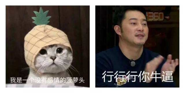 用沙雕表情包做头像的人,都是 非常幽默开朗好相处的,一般没什么心机.