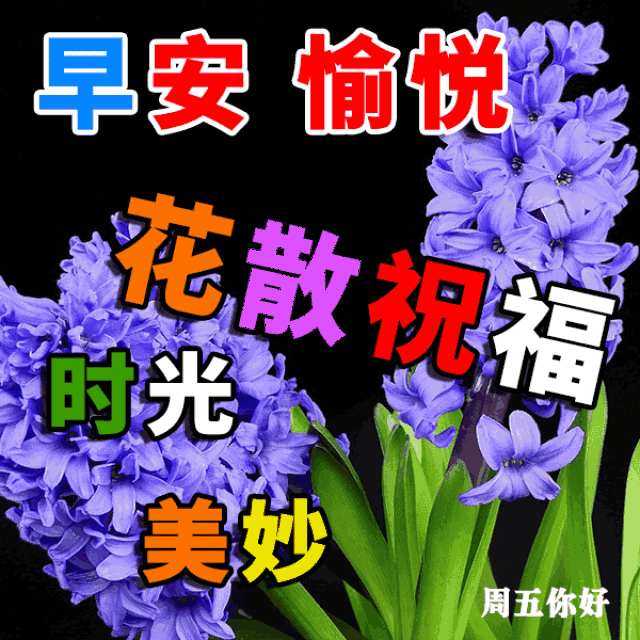 早晨带字动态图片大全 早上好问候语温馨句子