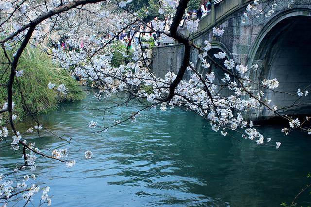杭州春天必去景点,