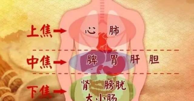 上焦火、下焦寒,根本原因在于中焦不通!